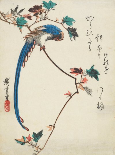 Blue Magpie on Maple Branch by Utagawa Hiroshige